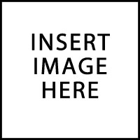 Insert Image